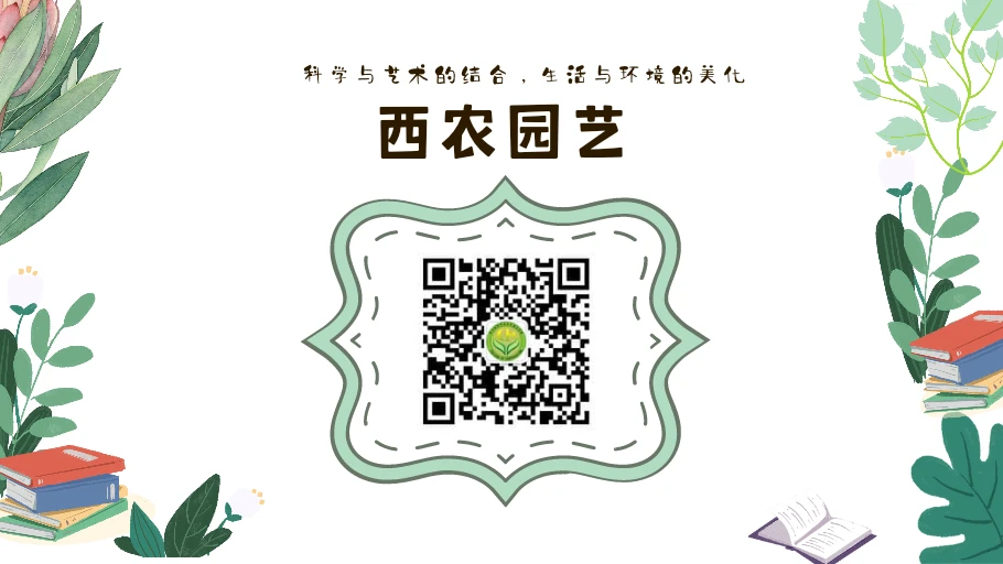 刻苦训练篮球时如何避免受伤的建议_1
